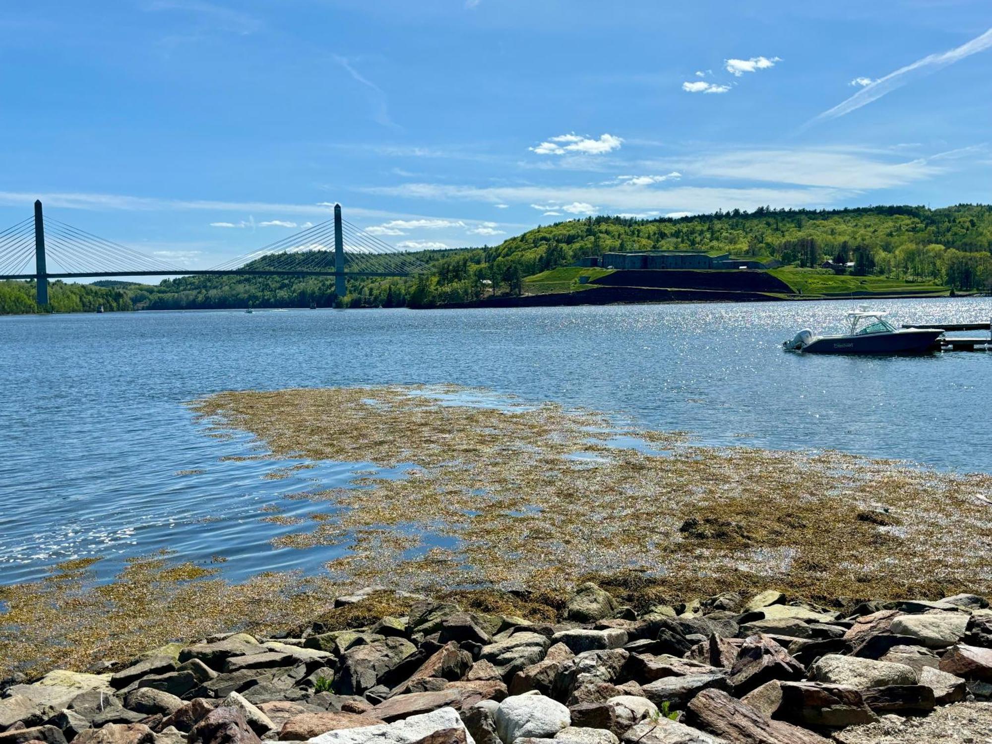 Gasthof Fort Knox Bucksport